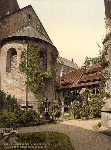 [Cathedral, churchyard and 1,000 year old rose tree, Hildesheim, Hanover, Germany]