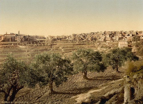 [General view of the well of David, Bethlehem, Holy Land, (i.e., West Bank)]