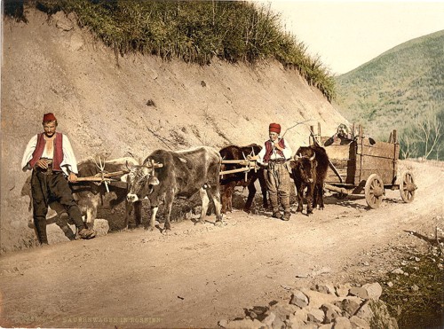 [Peasant wagon, Bosnia, Austro-Hungary]